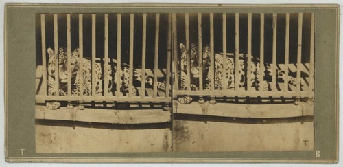 Stéréo 1855 paris - 1855-60.,