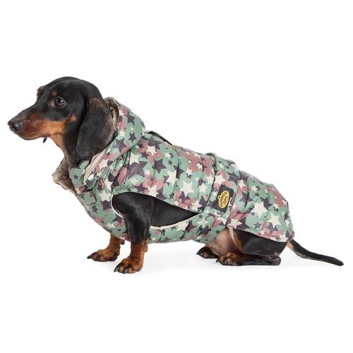 Fashion dog manteau pluie - fashion,