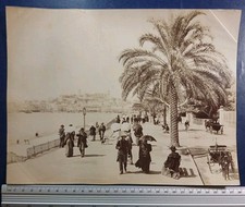 D06 Cannes C. 1893 Animated