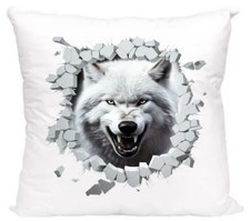 Housse de Coussin