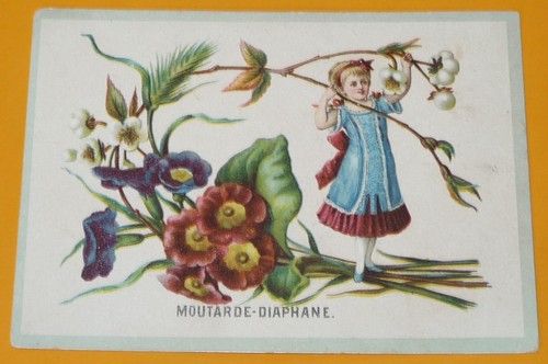 Chromo 1880 1910 moutarde - chromo,
