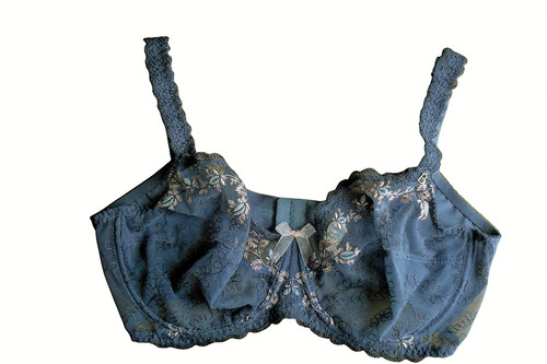 Soutien gorge dentelle - en,