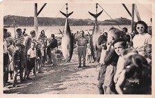 22* TREBEURDEN  pecheurs de thons    RL53,0041