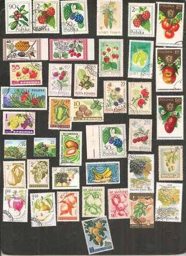 Lot timbres theme baies - 40,