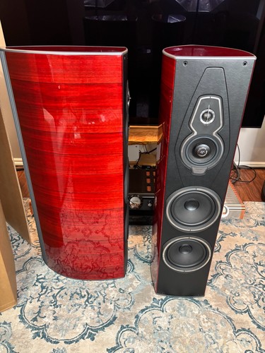 Sonus faber amati homage - homage, g5