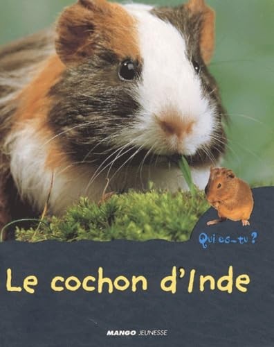 Cochon inde jonas - le, anne