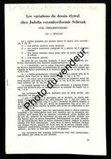 Entomologie: Milliat, 1966. Les variations  chez Judolia cerambyciformis
