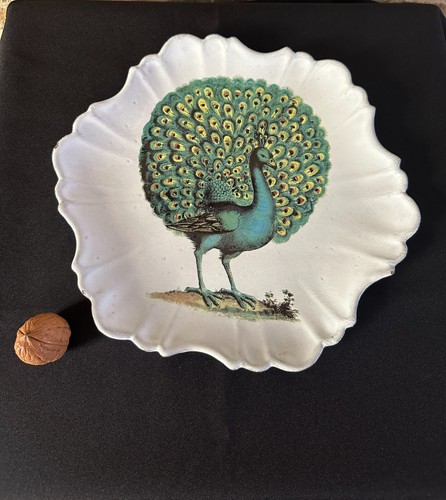 John derian astier de - &,