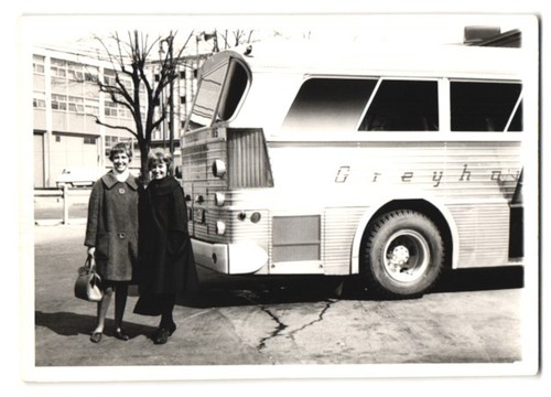 Photographie bus greyhound - bus,