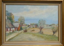 Village En Suède Landhäuser Chaume Pâturage Champs Ciel Mer Baltique Mer Du Nord