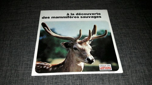 Découverte des - à,