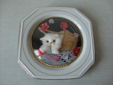 Cadre assiette chat chaton dans son panier et verre bombé de 21 cm