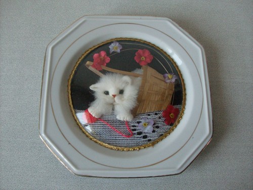 Cadre assiette chat chaton