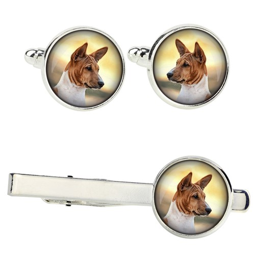 Ensemble basenji avec clips - ensemble,