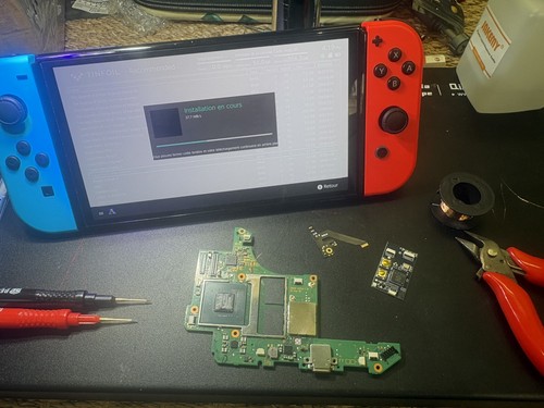 Switch oled mods 256go - oled,