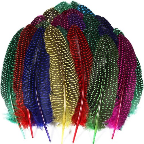 Plumes indiennes poulet de - plumes,