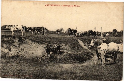 Cpa anguerville herbage des - anguerville,