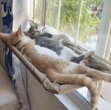 Hamac de Fenêtre pour Chat -