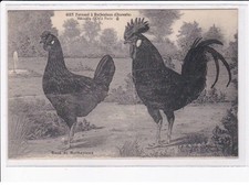 BARBEZIEUX: Giet Fernand médaille d'or à paris, race de coq et poule - tr