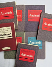 anatomie descriptive et