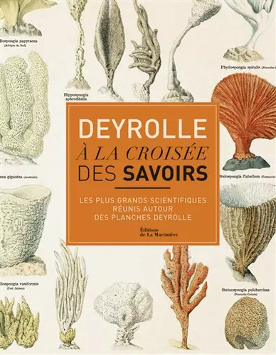 Deyrolle croisée des - a,