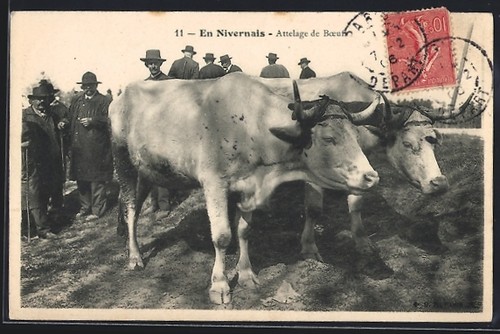 Carte postale nivernais - en,