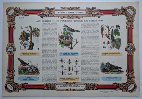 Histoire naturelle populaire - populaire,