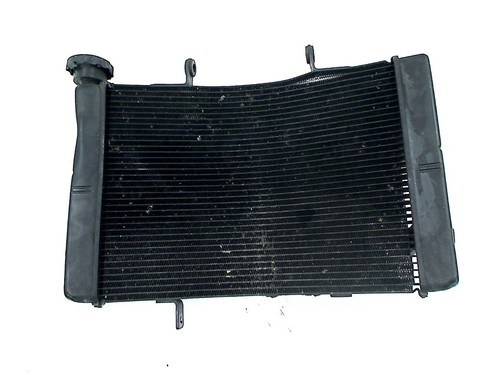 Radiateur eau triumph street - triumph,