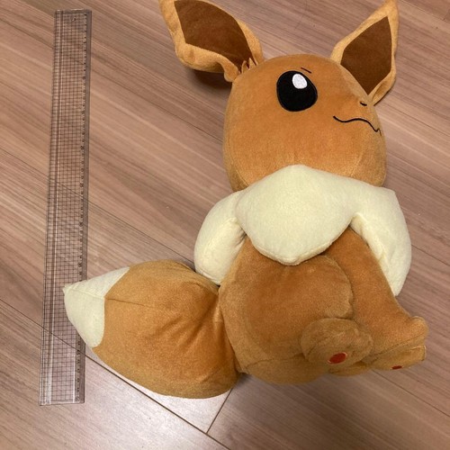 Peluche pokemon evoli large - evoli,