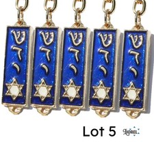Lot 5 porte-clés en métal
