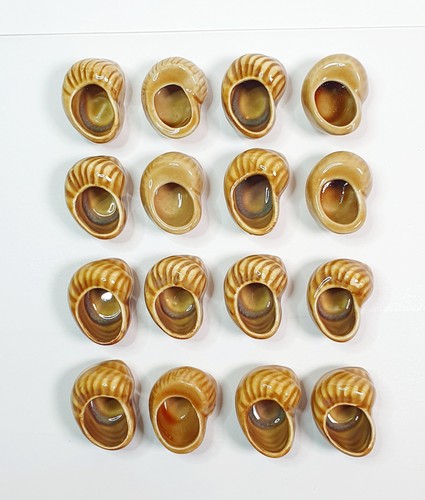 Lot coquilles escargots - 16,