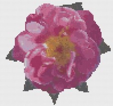 Modèle De Broderie À Points