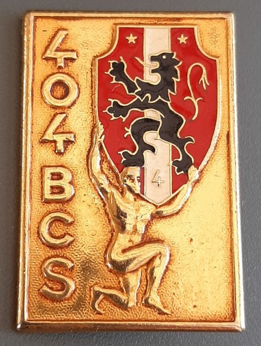Insigne 404 bcs - insigne, 404°