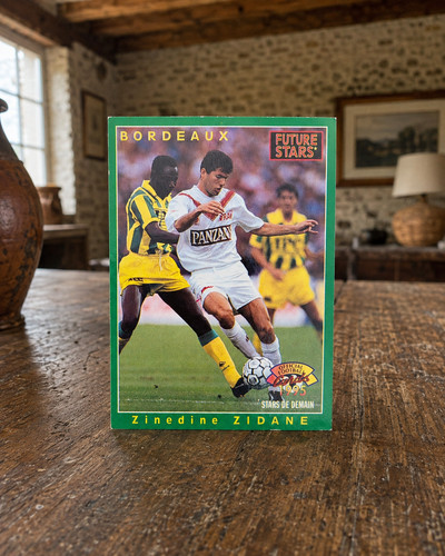 Zinedine zidane panini - zinedine,