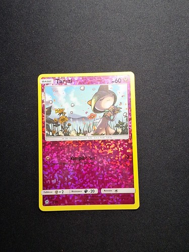 Holo tarsal macdonald - tarsal, 31/40
