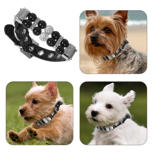 Collerette chien collier - collier, perle