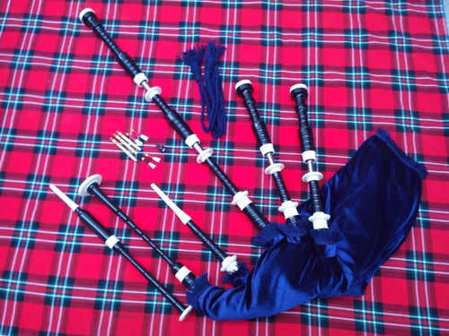 écossais highland grande - Écossais,