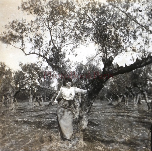 France femme mode arbre - france,
