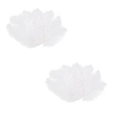 40 Pièces Plume D'Autruche