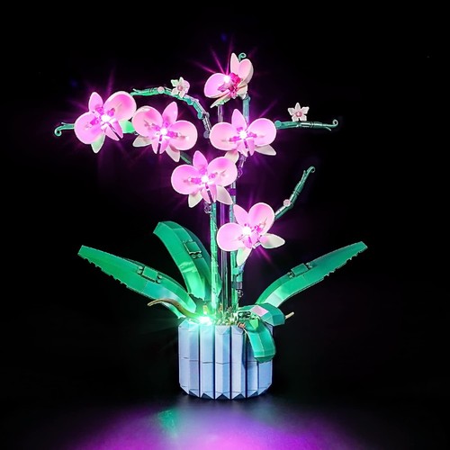 Led lumière pour lego 10311 - pour, lego-10311