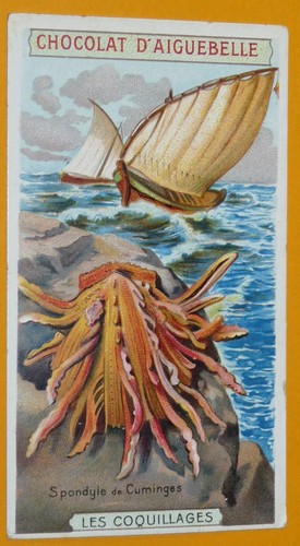 Chromo 1910 1930 chocolat - chromo,