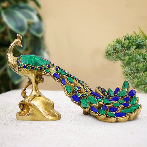 Paon idol pour - décor, maison