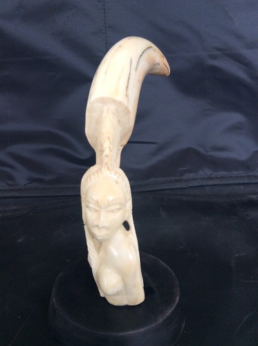 Dent phacochere sculptee - phacochere,