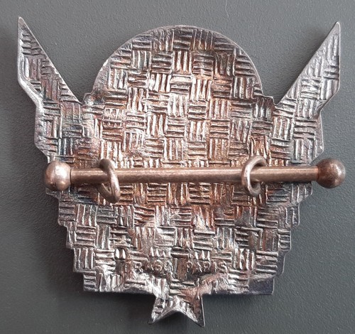 Insigne brevet parachutiste - brevet,