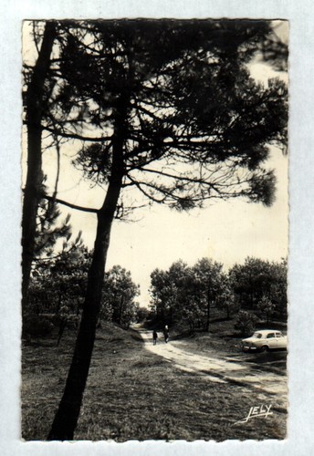 Notre dame monts - notre, (85)