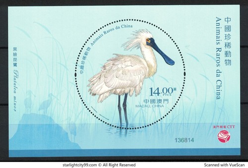 Macao chine 2025 animaux rares - macao,