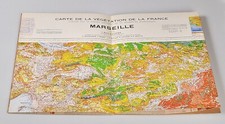 CARTE DE LA VÉGÉTATION DE LA