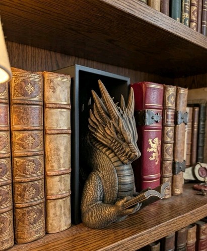 Serre livres dragon 20x10 - serre,