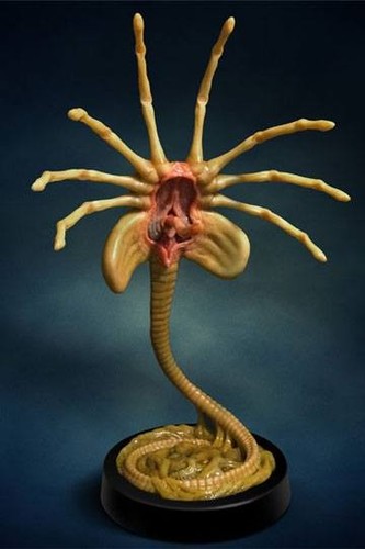 Alien facehugger life - life, size