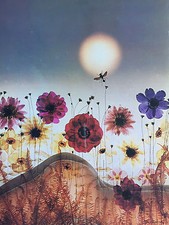 Carte Postale Géante   SAM  HASKINS   Femme  Woman  Nu  Format 24x32cm  Sexy